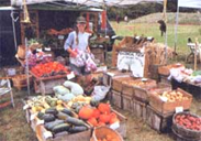 A guide to organic growing and shopping.